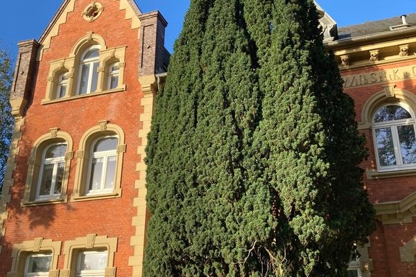  Lütte Kajüte Tönning - Ferienappartement