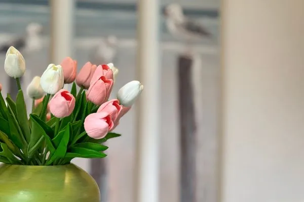 Dekoratives Detail  Ferienhaus 'Lütt Huus' für bis zu sechs Personen im historischen Stadtkern von Schleswig