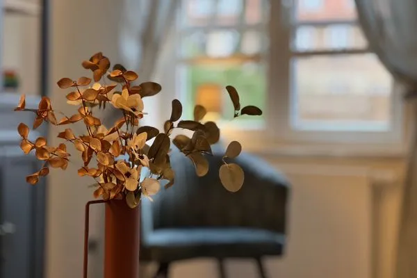 Dekoratives Detail  Ferienhaus 'Lütt Huus' für bis zu sechs Personen im historischen Stadtkern von Schleswig