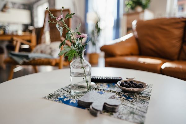  Wiesenstr. 4 Haus Blaumöwe Zingst - Wohnzimmer