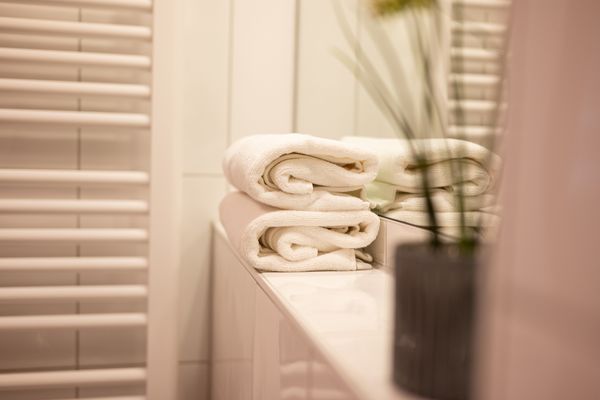 BIRKENHOF Haus 02, App. 65 "Dünennest" Ostseebad Wustrow - Dekoratives Detail