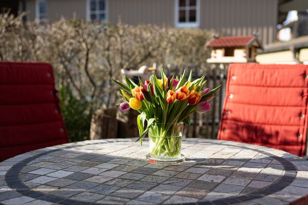 BIRKENHOF Haus 02, App. 65 "Dünennest" Ostseebad Wustrow - Terrasse