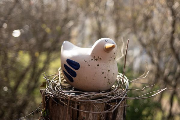 BIRKENHOF Haus 02, App. 65 "Dünennest" Ostseebad Wustrow - Terrasse