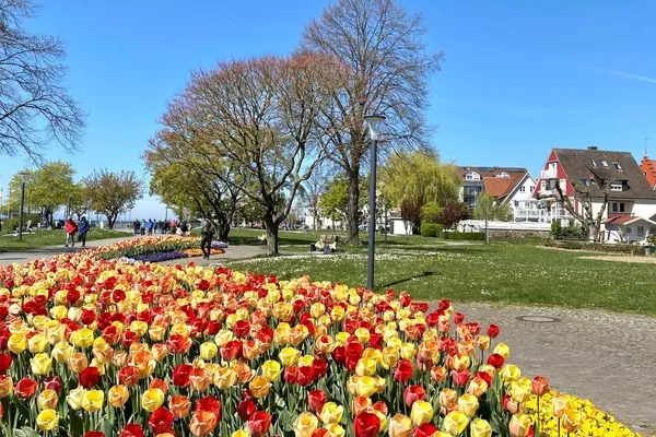  Ferienwohnung Im Seepalais Langenargen - Natur