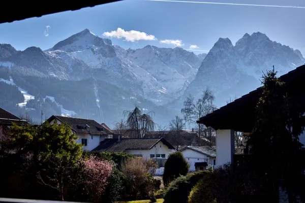 Gartenblick  Platzhirsch