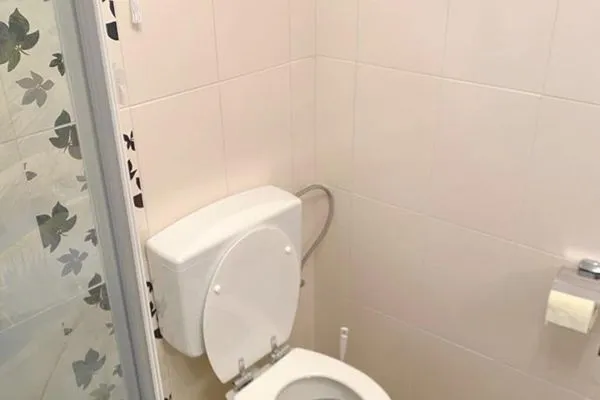 Guest WC  Apartment Sunside 1 by FiS - Fun in Styria