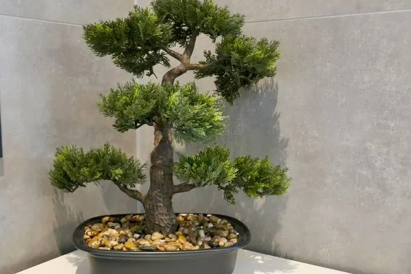 Multi-Fewo-Haus Auf dem Wall Ferienwohnung Lindauer Löwe Lindau Insel - Dekoration