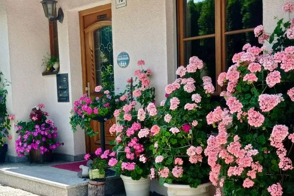  Ferienwohnung Blumenoase Lindau und Umgebung - Eingangsbereich