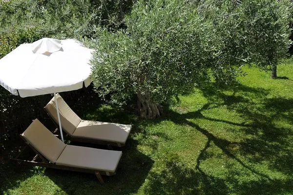 Garden  Trikorfo Junior Panorama 1