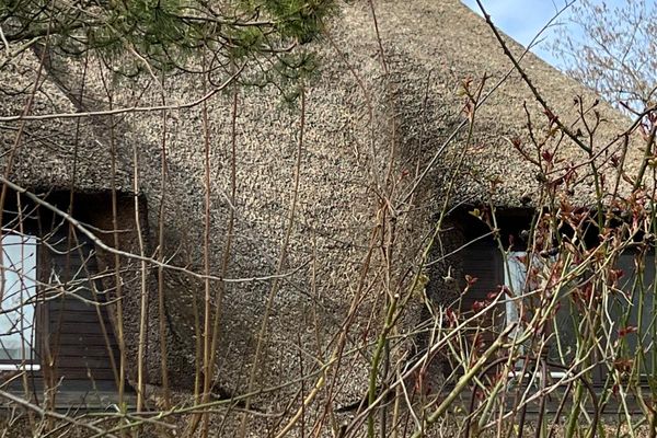  Haus Meeresluft Seestern St. Peter-Böhl - Aussenansicht