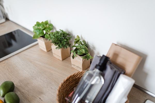 Bismarck 1884 B05 Norderney-Stadt - Dekoratives Detail