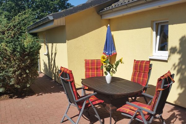  Sonnenblume - Sonne 1  - Garten