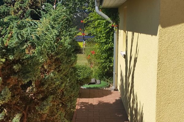  Sonnenblume - Sonne 1  - Garten