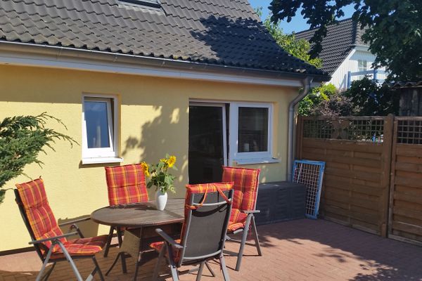  Sonnenblume - Sonne 1  - Gartenblick