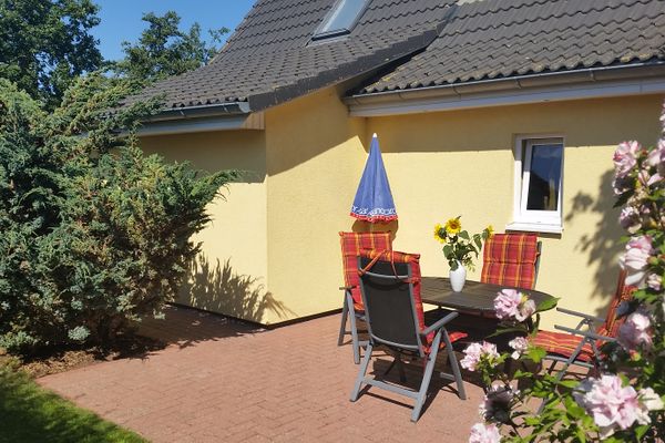  Sonnenblume - Sonne 1  - Gartenblick