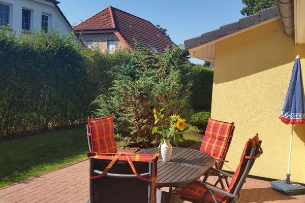  Sonnenblume - Sonne 1  - Gartenblick
