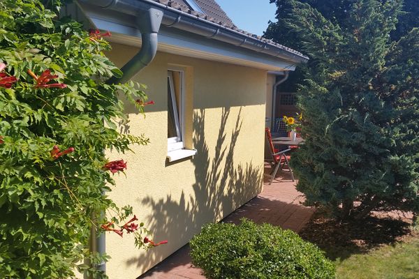  Sonnenblume - Sonne 1  - Gartenblick