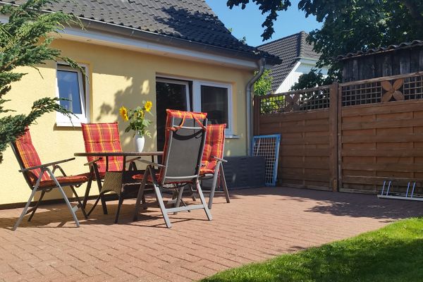  Sonnenblume - Sonne 1  - Gartenblick