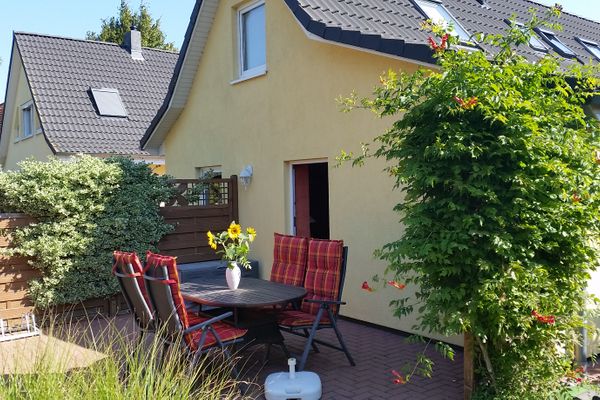 Sonnenblume - Sonne 2  - Gartenblick