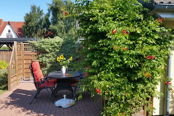  Sonnenblume - Sonne 2  - Gartenblick