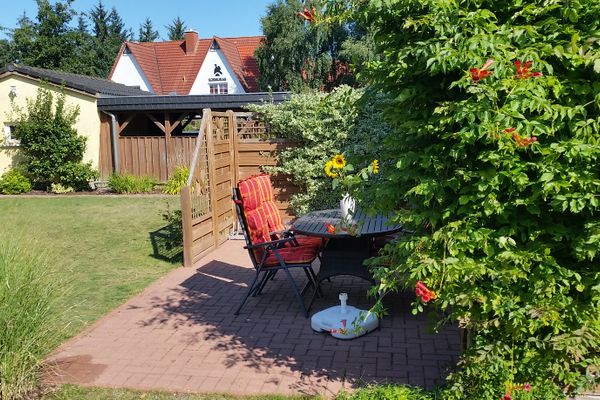  Sonnenblume - Sonne 2  - Gartenblick