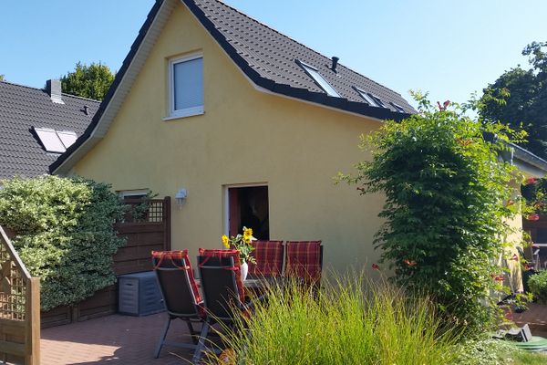  Sonnenblume - Sonne 2  - Gartenblick