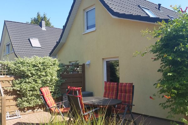  Sonnenblume - Sonne 2  - Gartenblick