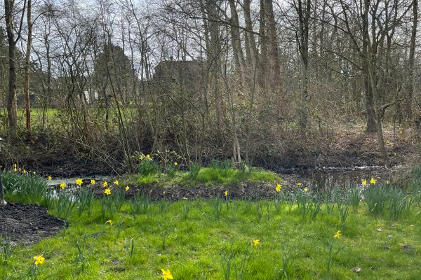 Haus Meeresluft Seepferd St. Peter-Böhl - Garten