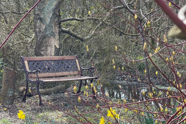  Haus Meeresluft Muschel St. Peter-Böhl - Garten