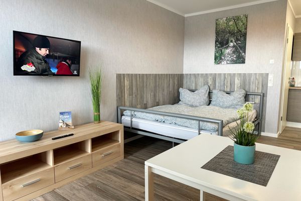 kombiniertes Wohn-Schlafzimmer