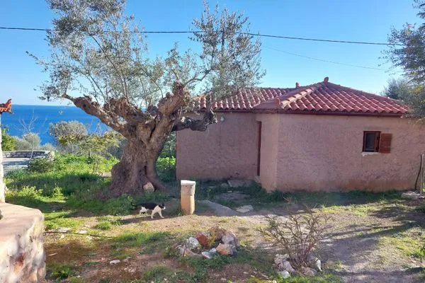 Facade / entrance  Esperides