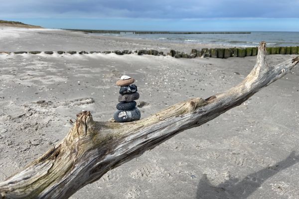 Achtern Diek Haus 7 Wohnung 4 Zingst - Dekoratives Detail