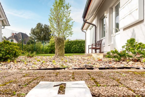  Hafenstrasse 22a Wohnung 1 Zingst - Gartenblick