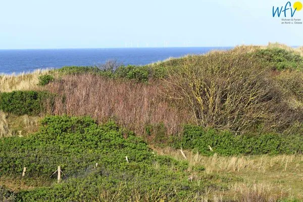Meerblick Haus Bremen Ferienwohnung 10