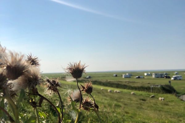  Ferienhaus Seepferdchen Dornumersiel - Landschaft