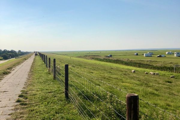  Ferienhaus Seepferdchen Dornumersiel - Landschaft