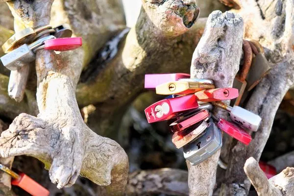 Schlosswurzel  Kapitänsgarten Wohnung 25