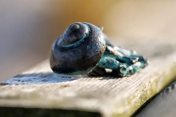 Dekoration  Kapitänsgarten Wohnung 25