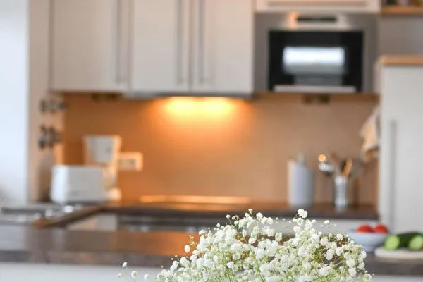 Küche / Küchenzeile Kaiserhof Ferienwohnung 202