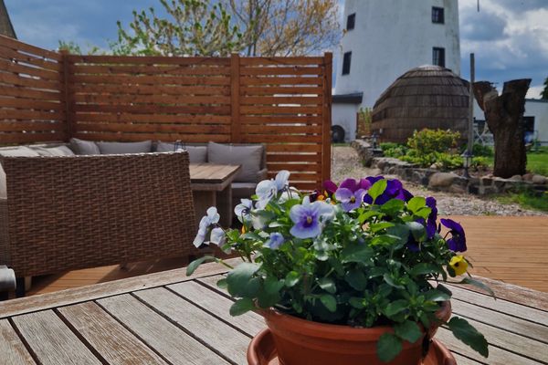  Tinyhouse Igluhut Molino Püchauer Mühle - 