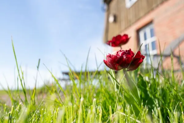 Landschaft  Lübsche Mühle