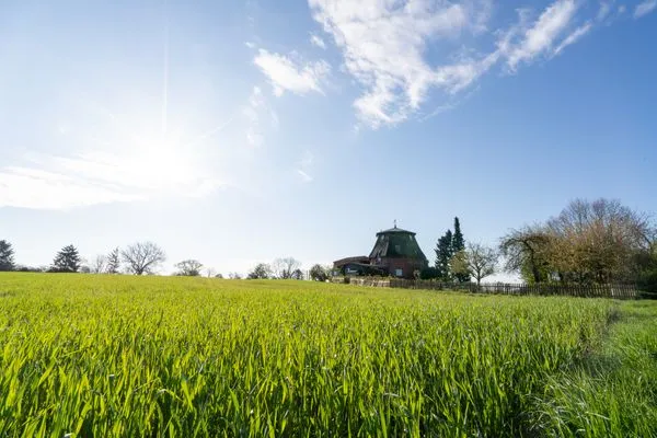 Landschaft  Lübsche Mühle