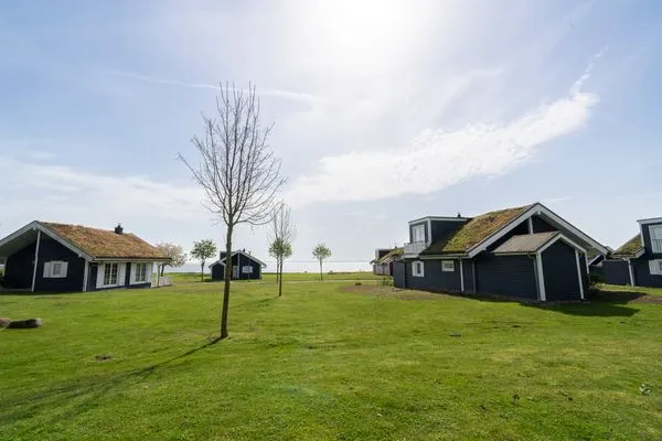 Meerblick Strandpark Sierksdorf Strandrose