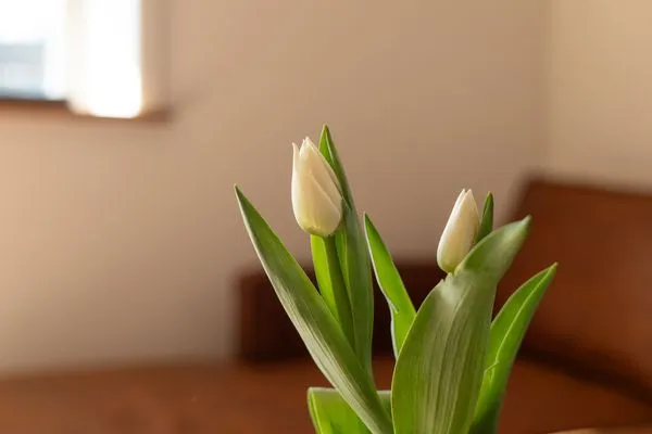 Wohnzimmer  Reethus 22 Loft 1