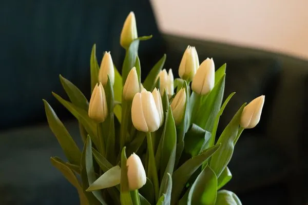 Wohnzimmer  Reethus 22 Loft 3