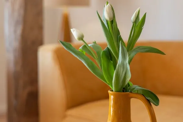 Wohnzimmer  Reethus 22 Loft 4