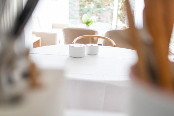 Pudelsand EINS Norderney-Stadt - Dekoratives Detail