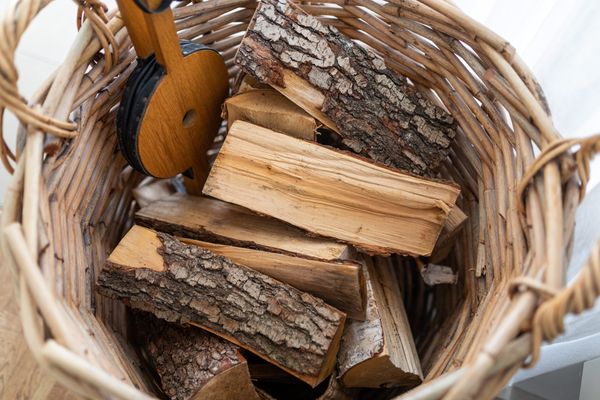 Pudelsand EINS Norderney-Stadt - Dekoratives Detail