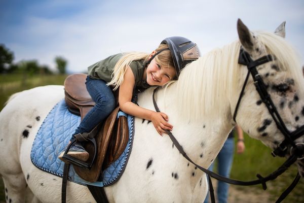 Altes Bauernhaus Dachstube links Schmallenberg - Pferdeliebe auf dem Hof Köhne