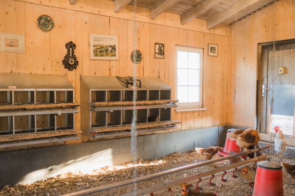 Altes Bauernhaus Dachstube links Schmallenberg - Hühnerstall Biohof Köhne